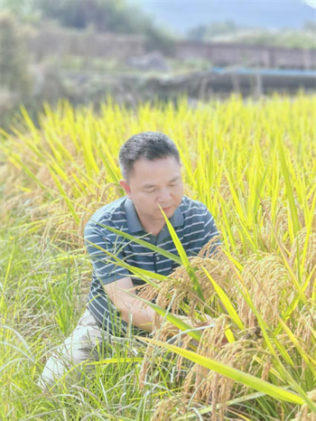 1761264256507933.png 图片2.png